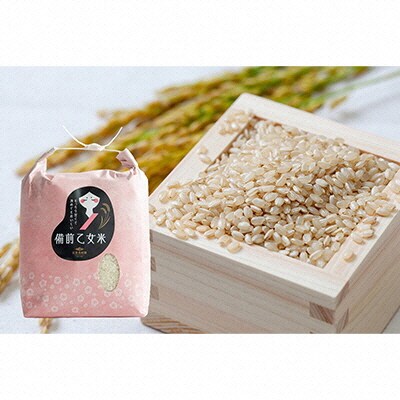 令和7年産 石原果樹園の備前乙女米 玄米 5kg×1袋 岡山県 [No.5735-1120]