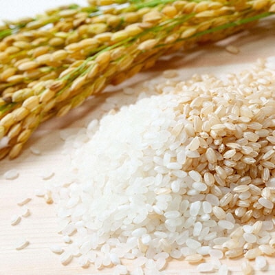 令和7年産 石原果樹園の備前乙女米 玄米 5kg×1袋 岡山県 [No.5735-1120]