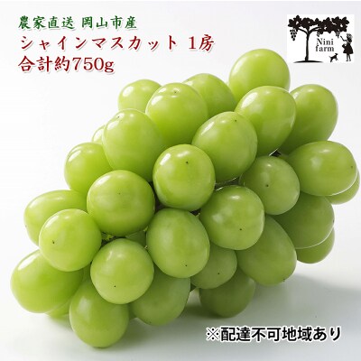 【平均糖度20度】シャインマスカット1房約750g 特秀クラス 岡山県産[No.5735-1944]