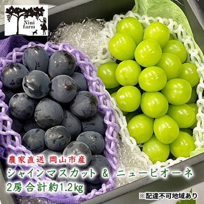 シャイン マスカット&ニュー ピオーネ 2房 合計約1.2kg 岡山県産[No.5735-1945]