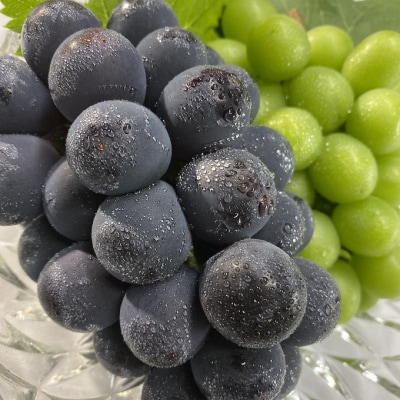 シャイン マスカット&ニュー ピオーネ 2房 合計約1.2kg 岡山県産[No.5735-1945]