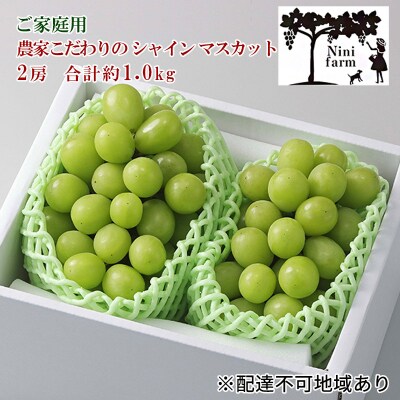 【平均糖度20度】 ご家庭用 シャイン マスカット 2房 岡山県産 [No.5735-1947]
