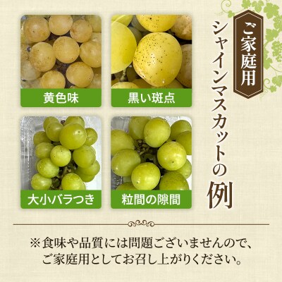 【平均糖度20度】 ご家庭用 シャイン マスカット 2～3房 岡山県産 [No.5735-1948]