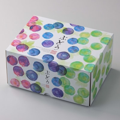 【平均糖度20度】 ご家庭用 シャイン マスカット 2～3房 岡山県産 [No.5735-1948]