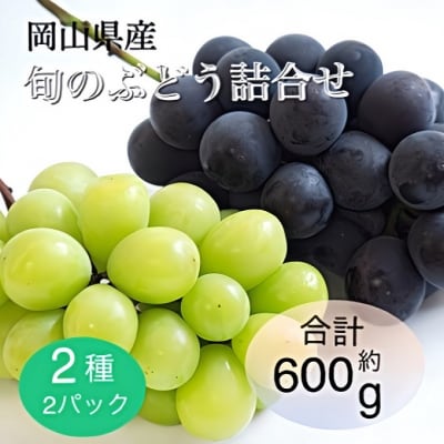 【2025年先行受付 】 旬のぶどう詰合せ 2種2パックセット [No.5735-2064]