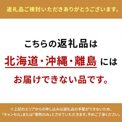 【2025年先行受付】オーロラブラック 2房 (約1.1kg)化粧箱入り[No.5735-2071]