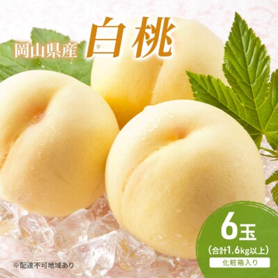 【2025年先行受付】岡山白桃 6玉 (1.6kg以上) 化粧箱入り  [No.5735-2040]