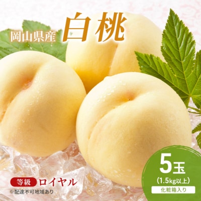 【2025年先行受付】岡山白桃 ロイヤル 5玉(1.5kg以上)化粧箱入[No.5735-2041]