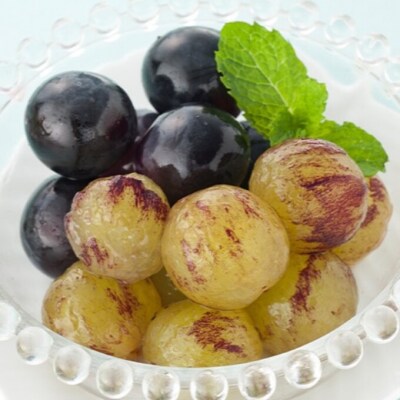 【2026年先行受付】ニューピオーネ 4房(1房480g以上) 岡山県産[No.5735-2044]