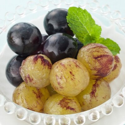 【2026年先行受付】ニューピオーネ 2房 化粧箱入り 岡山県産 [No.5735-2045]