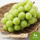 シャインマスカット 晴王 4房 (1房480g以上) 岡山県産 [No.5735-2046]