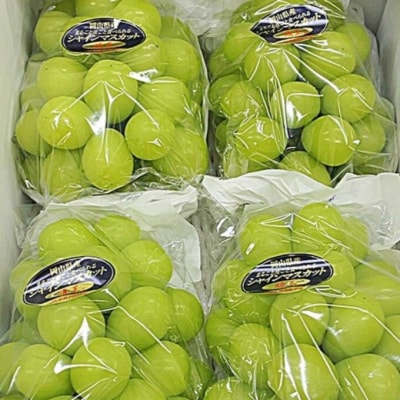 シャインマスカット 晴王 4房 (1房480g以上) 岡山県産 [No.5735-2046]