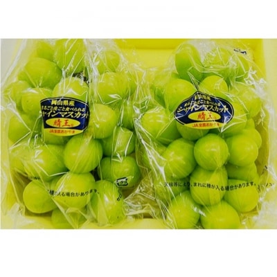 シャインマスカット晴王 2房(1房600g以上) 化粧箱入り 岡山県産 [No.5735-2047]