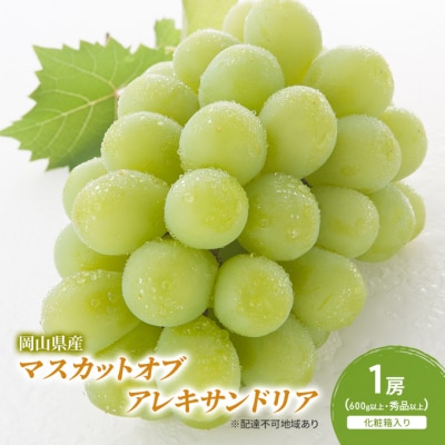 マスカットオブアレキサンドリア 1房(600g以上・秀品以上) 化粧箱入[No.5735-2048]
