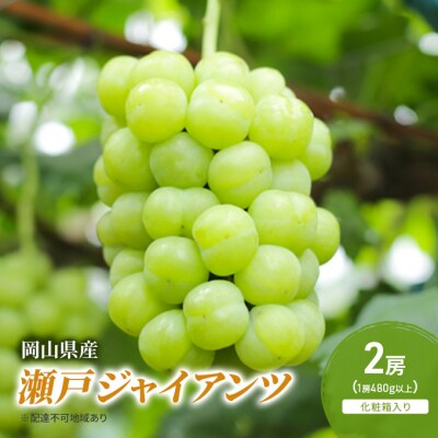 瀬戸ジャイアンツ 2房 (1房480g以上) 化粧箱入り 岡山県産 [No.5735-2050]