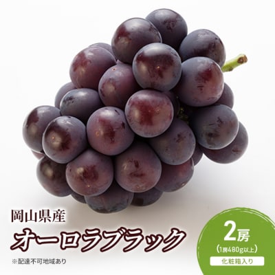 オーロラブラック 2房  (1房480g以上)　化粧箱入り 岡山県産 [No.5735-2052]