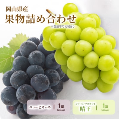 ニューピオーネ・シャインマスカット 晴王 各1房 化粧箱入り 岡山県産 [No.5735-2055]