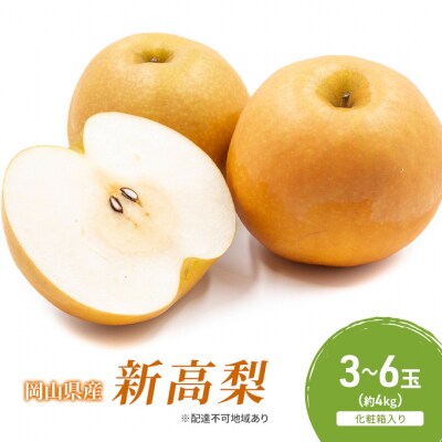 【2026年先行受付】新高梨 3-6玉(約4kg) 化粧箱入り 岡山県産[No.5735-2056]
