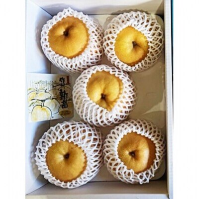 【2026年先行受付】新高梨 3-6玉(約4kg) 化粧箱入り 岡山県産[No.5735-2056]