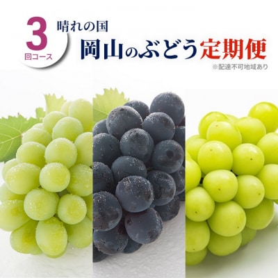 【2026年先行受付】晴れの国 岡山 の ぶどう定期便 3回コース [No.5735-2061]