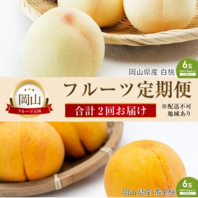 【2025年先行受付】 晴れの国 岡山 の フルーツ 定期便 2回コース[No.5735-2063]