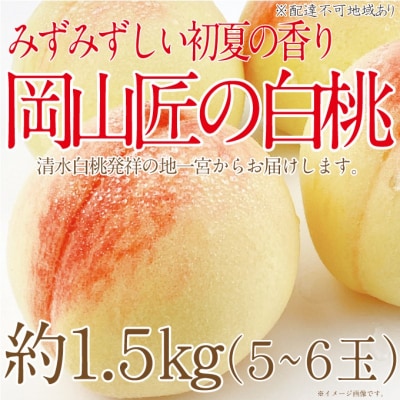 【2025年先行受付】岡山匠の白桃 約1.5kg 5～6玉 岡山県産 [No.5735-1998]