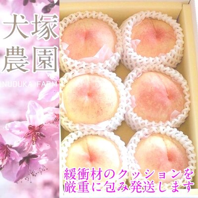 【2026年先行受付】岡山匠の白桃 約1.5kg 5～6玉 岡山県産 [No.5735-1998]