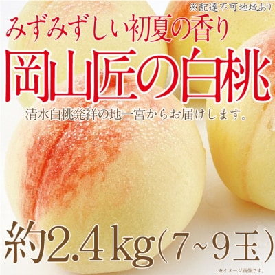 【2025年先行受付】岡山匠の白桃 約2.4kg 7～9玉 岡山県産 [No.5735-1999]