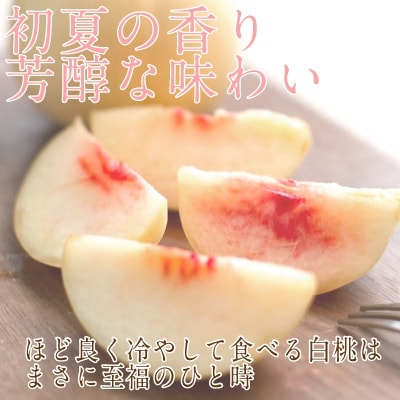 【2025年先行受付】岡山匠の白桃 約2.4kg 7～9玉 岡山県産 [No.5735-1999]