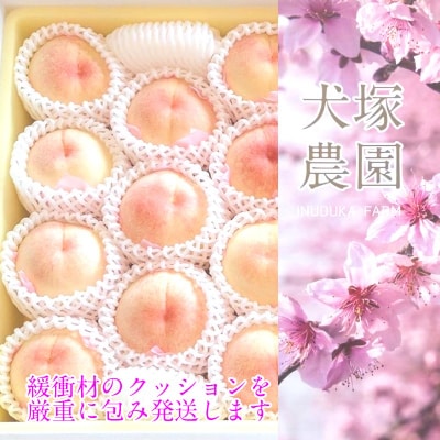 【2026年先行受付】岡山匠の白桃 約2.4kg 7～9玉 岡山県産 [No.5735-1999]