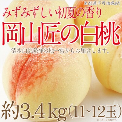 【2026年先行受付】岡山匠の白桃 約3.4kg 11～12玉 岡山県産[No.5735-2000]