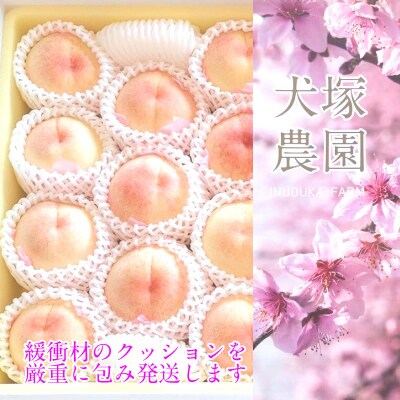 【2026年先行受付】岡山匠の白桃 約3.4kg 11～12玉 岡山県産[No.5735-2000]