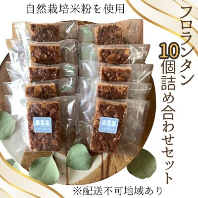 米粉のフロランタン 10個 詰め合わせ ミツバチ米粉研究所 焼菓子セット[No.5735-2097]