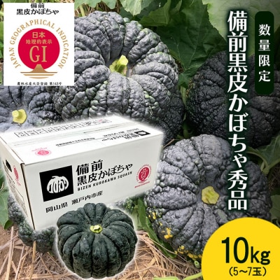 【数量限定】備前黒皮かぼちゃ 秀品 10kg (5～7玉)  岡山県 [No.5735-2075]