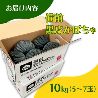 【数量限定】備前黒皮かぼちゃ 秀品 10kg (5～7玉)  岡山県 [No.5735-2075]