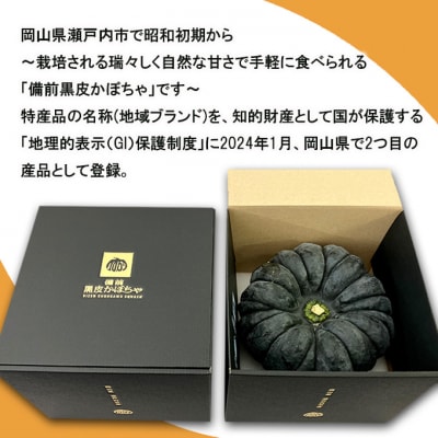 【数量限定】備前黒皮かぼちゃ (1玉)  岡山県 [No.5735-2076]