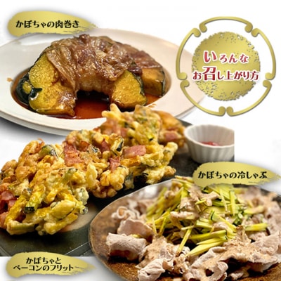 【数量限定】備前黒皮かぼちゃ (1玉)  岡山県 [No.5735-2076]