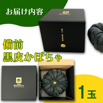 【数量限定】備前黒皮かぼちゃ (1玉)  岡山県 [No.5735-2076]