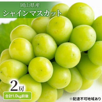 シャインマスカット 晴王 2房 合計1.0kg前後 岡山県産 [No.5735-1893]