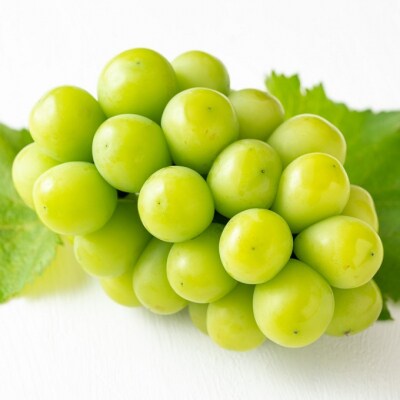 シャインマスカット 晴王 2房 合計1.0kg前後 岡山県産 [No.5735-1893]