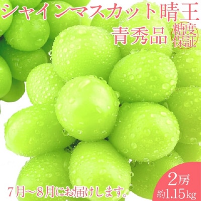 シャインマスカット晴王2房 約1.15kg 岡山県産 7月～8月出荷 [No.5735-2106]