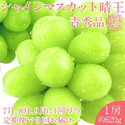 【3回定期便】シャイン マスカット 晴王 1房 約620g 岡山県産 [No.5735-2108]