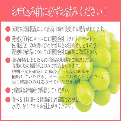 【3回定期便】シャイン マスカット 晴王 1房 約620g 岡山県産 [No.5735-2108]