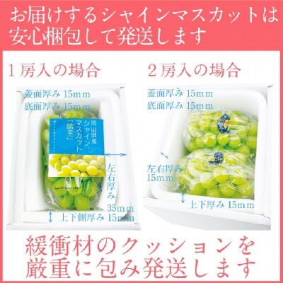 【3回定期便】シャイン マスカット 晴王 1房 約620g 岡山県産 [No.5735-2108]