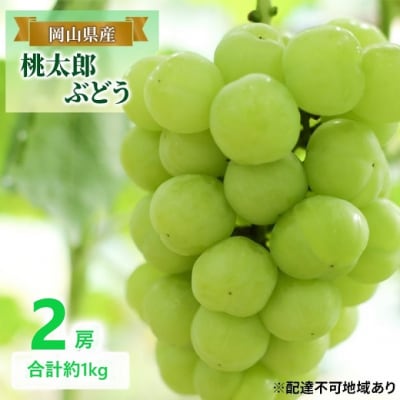 【2026年先行受付】 桃太郎ぶどう 2房 合計約1kg 岡山県産 [No.5735-2078]