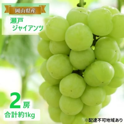 【2025年先行受付】 瀬戸ジャイアンツ 2房 合計約1kg 岡山県産 [No.5735-2081]