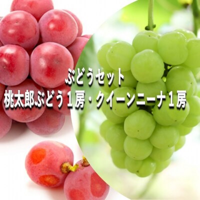 ぶどうセット 桃太郎ぶどう・クイーンニーナ各1房 合計約1kg 岡山県産[No.5735-2082]