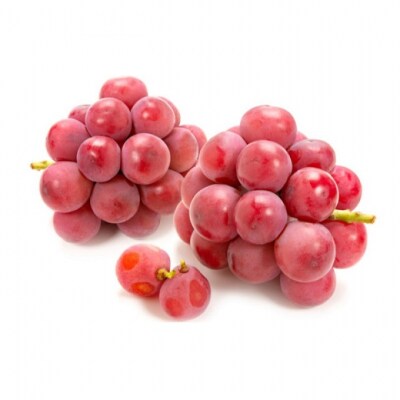 ぶどうセット 桃太郎ぶどう・クイーンニーナ各1房 合計約1kg 岡山県産[No.5735-2082]