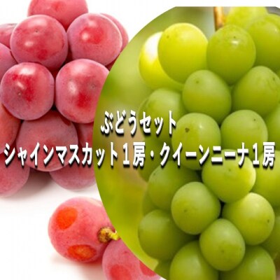 ぶどうセット シャインマスカット・クイーンニーナ 各1房  岡山県産[No.5735-2084]