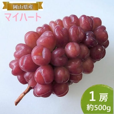 【2026年先行受付】 マイハート  1房  約500g 岡山県産 [No.5735-2088]